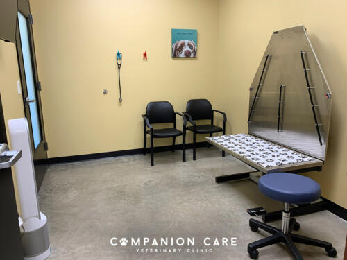 Companion Care Vet Clinic - Overland Park, KS