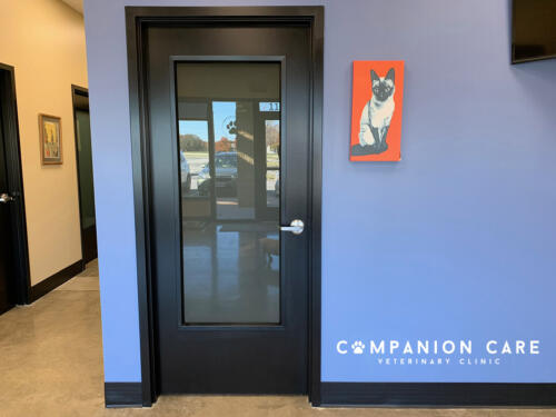 Companion Care Vet Clinic - Overland Park, KS